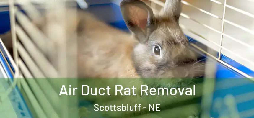  Air Duct Rat Removal Scottsbluff - NE