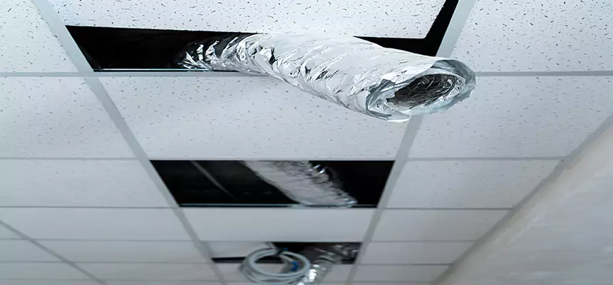 Affordable HVAC Sanitizing After Pest Removal in Scottsbluff