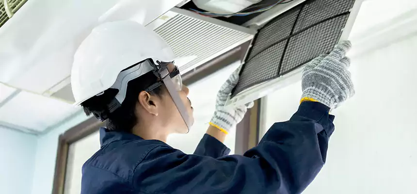 Our Mold & Mildew Removal from Air Ducts Services in Scottsbluff, NE