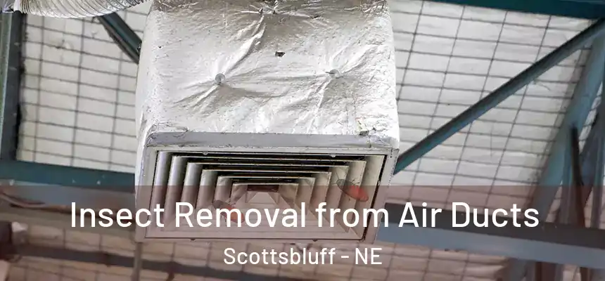  Insect Removal from Air Ducts Scottsbluff - NE