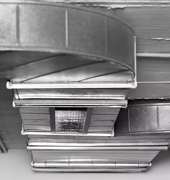 Professional Air Duct Pet Hair Removal in Scottsbluff, NE