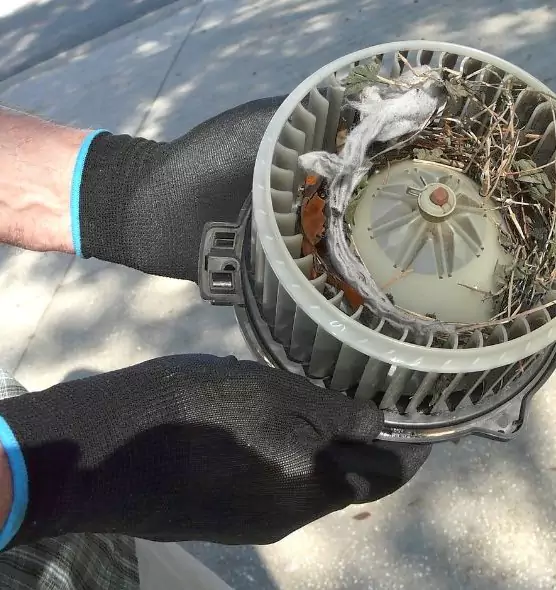 About Air Duct Rat Removal in Scottsbluff, NE