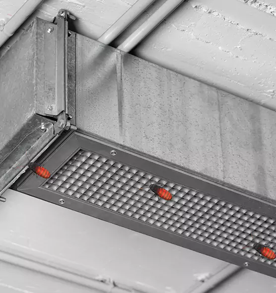 Affordable Insect Removal from Air Ducts in Scottsbluff, NE