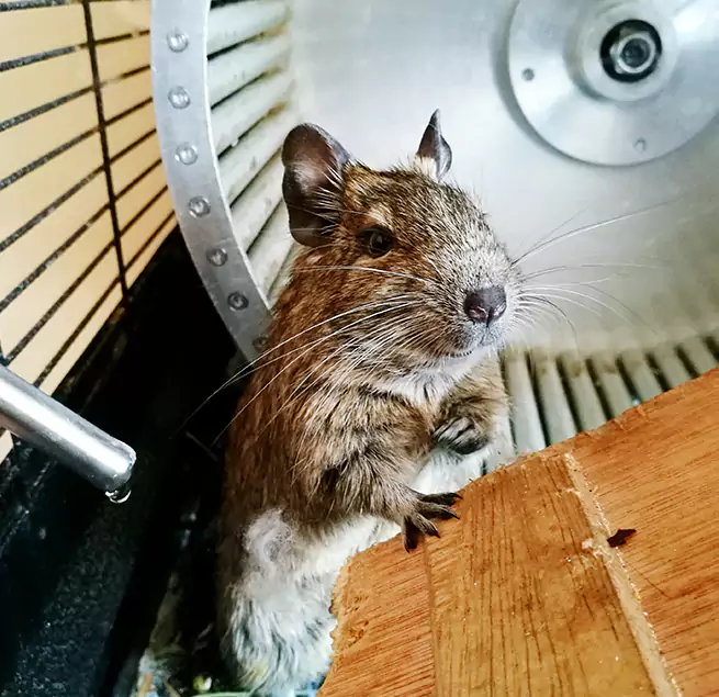 Why Homeowners & Businesses Trust Us Scottsbluff, NE